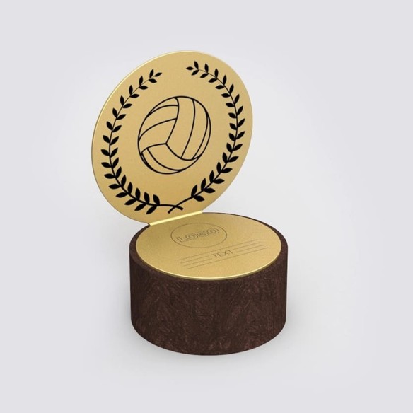 Troféus de voleibol