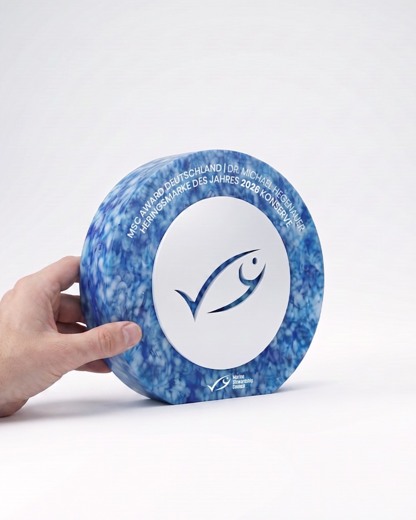 Troféu à medida para os MSC Awards feito pela Sustain Awards, seguro por um modelo